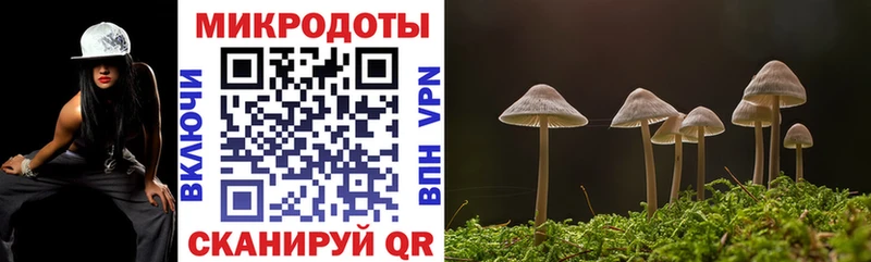 omg сайт наркотики Барабинск Галлюциногенные грибы Psilocybe
