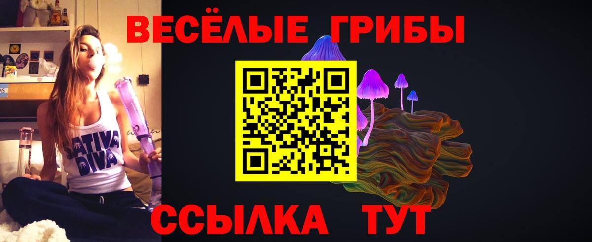 Барабинск  Псилоцибиновые грибы прущие грибы  Вход с VPN 