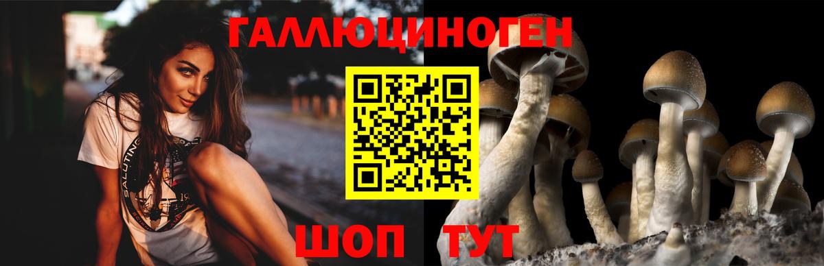 Псилоцибиновые грибы мухоморы Барабинск